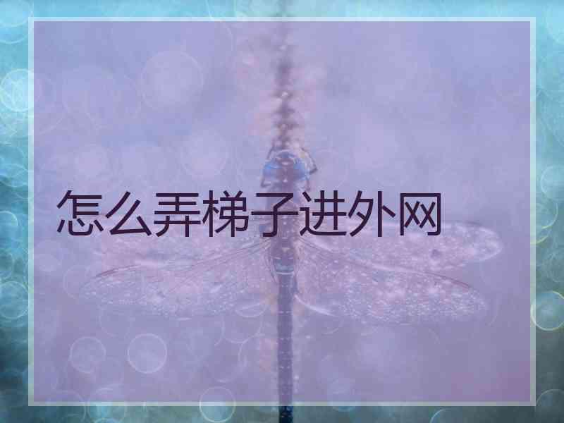怎么弄梯子进外网