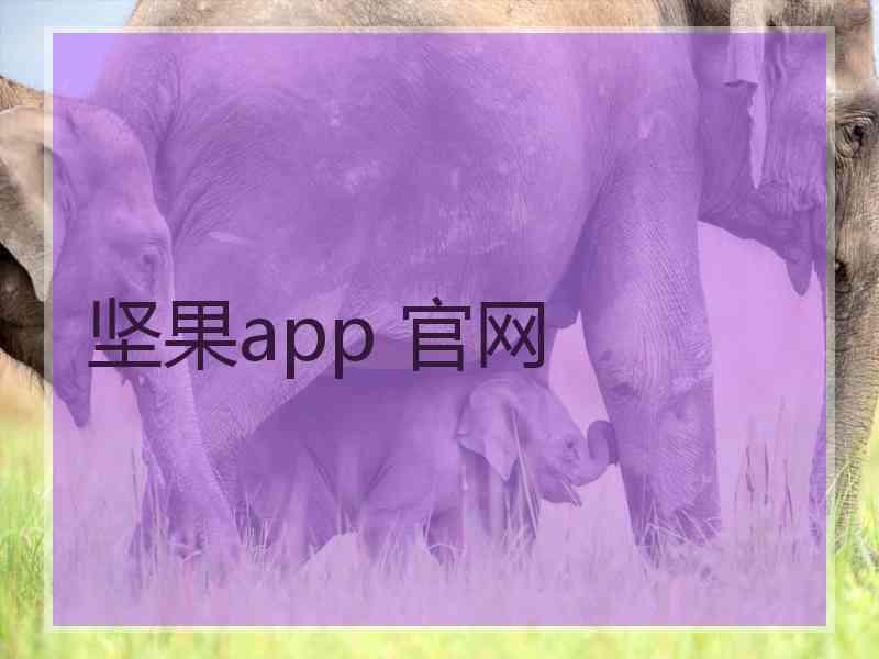 坚果app 官网