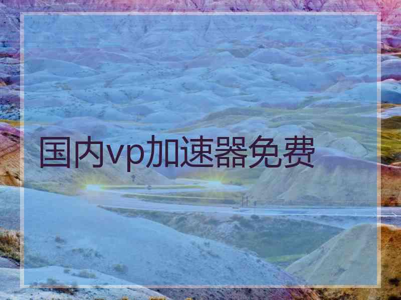 国内vp加速器免费