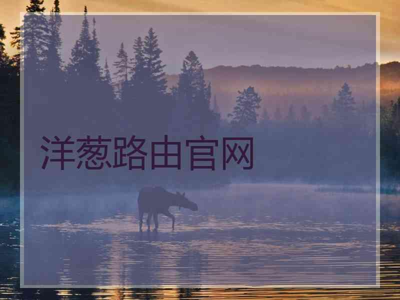 洋葱路由官网