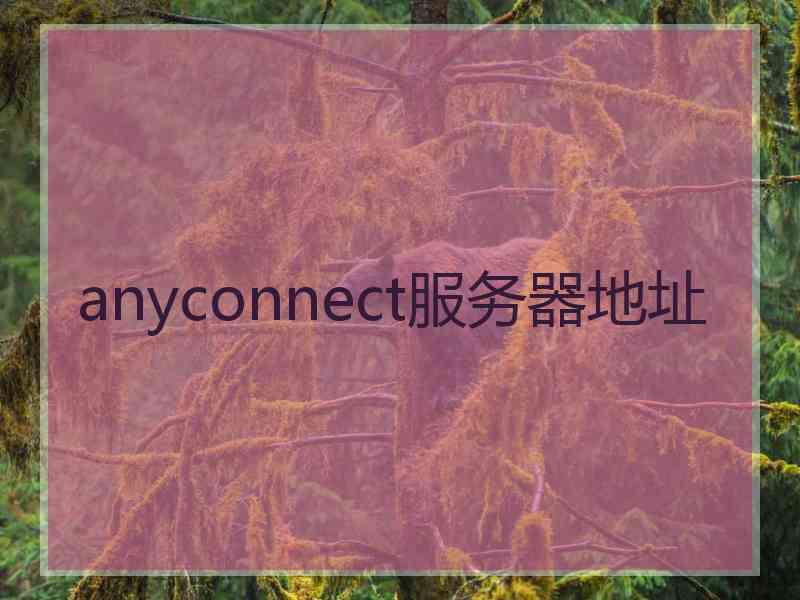 anyconnect服务器地址