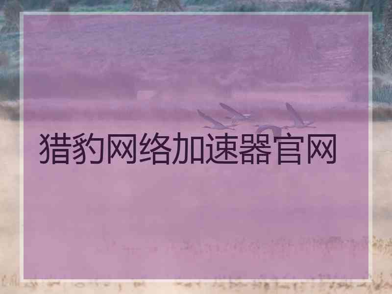 猎豹网络加速器官网