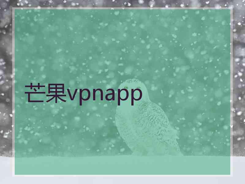 芒果vpnapp