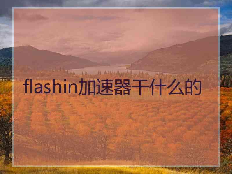 flashin加速器干什么的