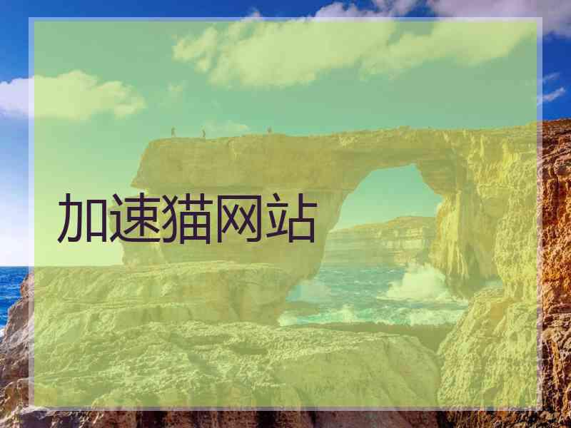 加速猫网站