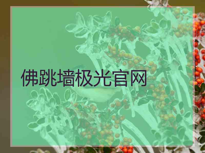 佛跳墙极光官网
