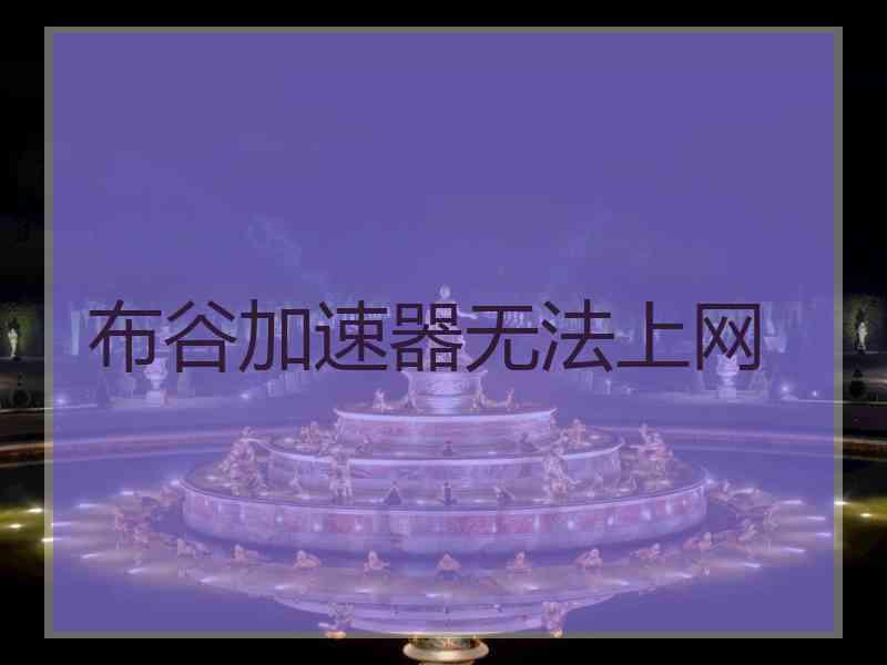 布谷加速器无法上网