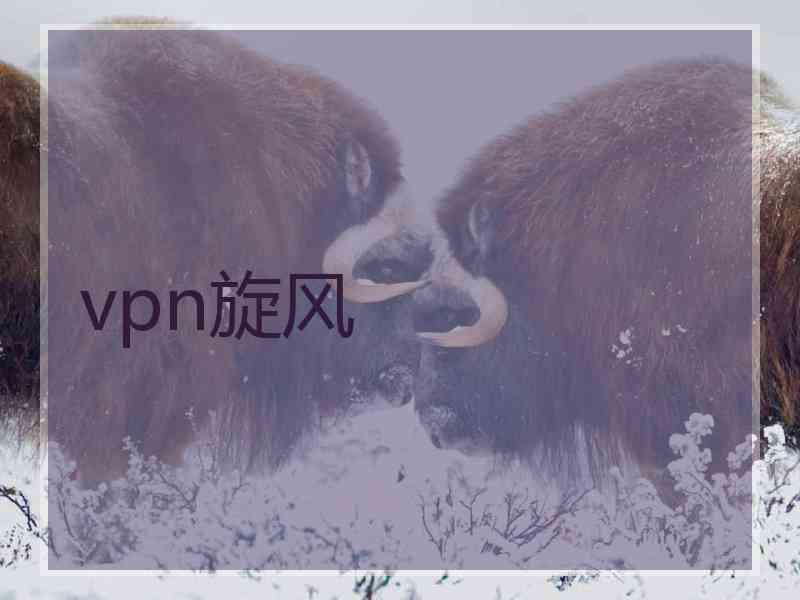 vpn旋风