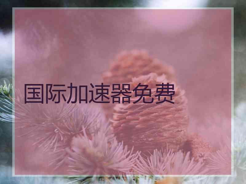 国际加速器免费