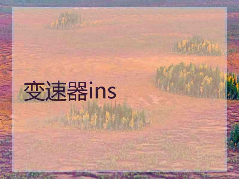 变速器ins