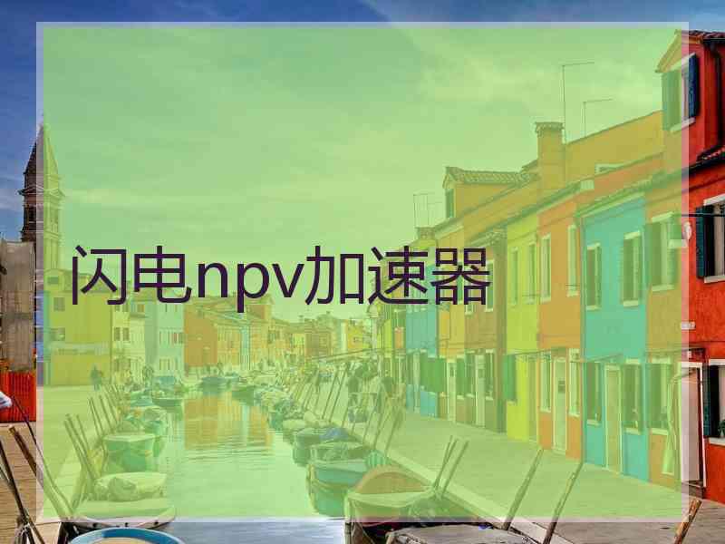 闪电npv加速器