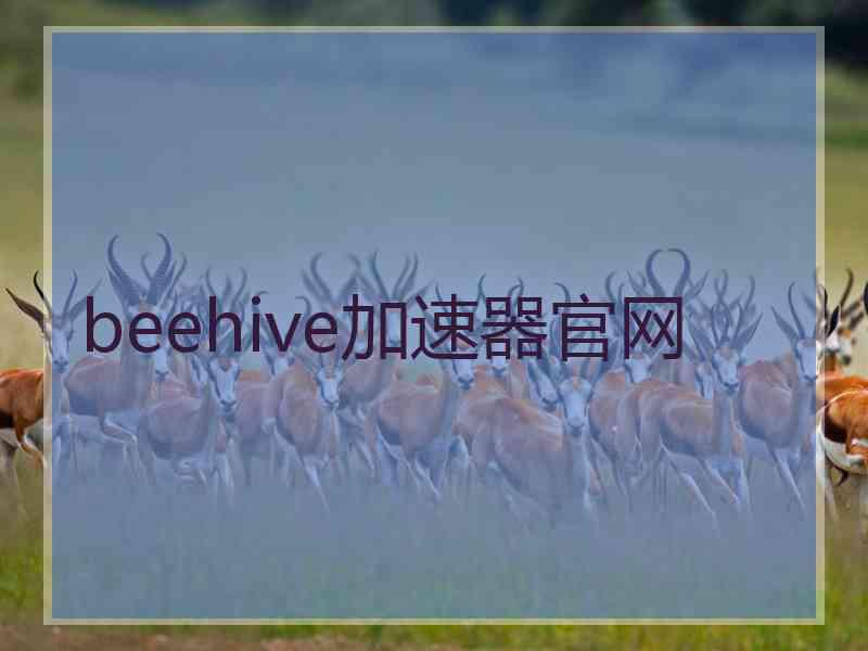 beehive加速器官网
