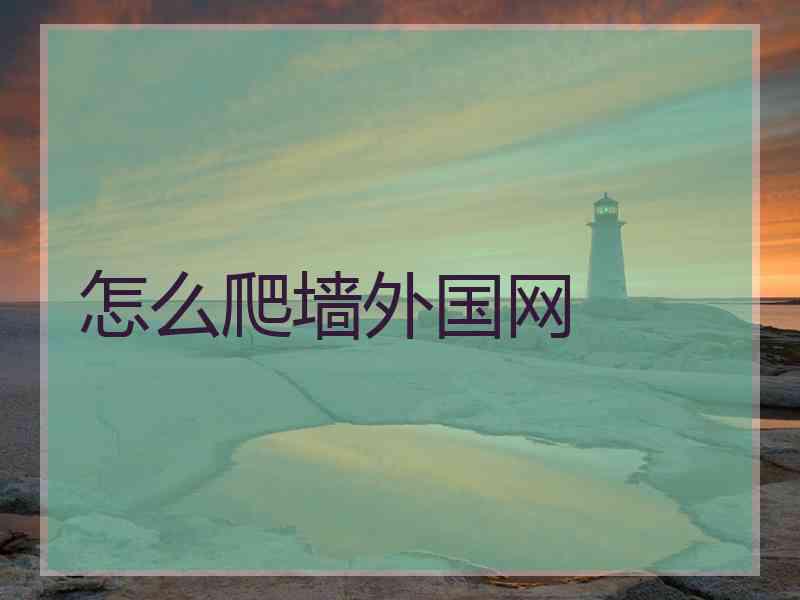 怎么爬墙外国网