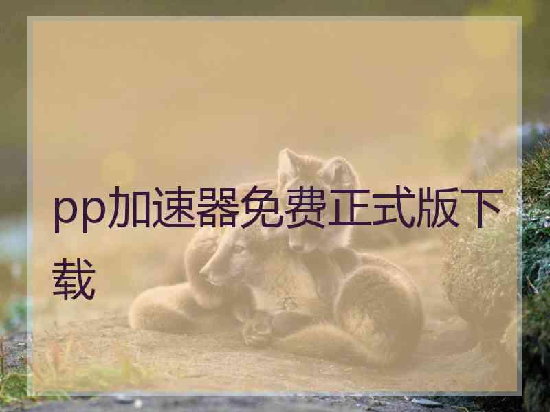 pp加速器免费正式版下载