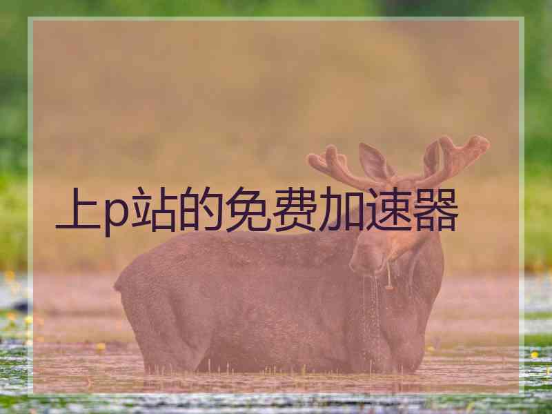 上p站的免费加速器