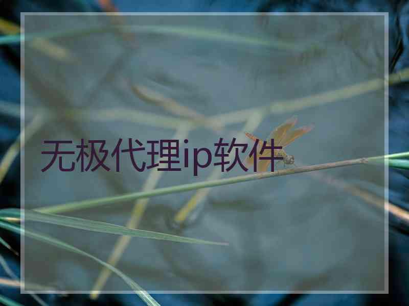 无极代理ip软件