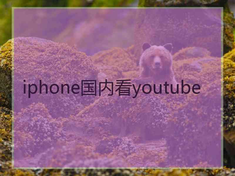 iphone国内看youtube