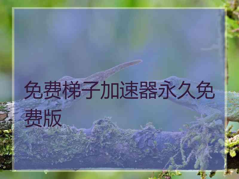 免费梯子加速器永久免费版