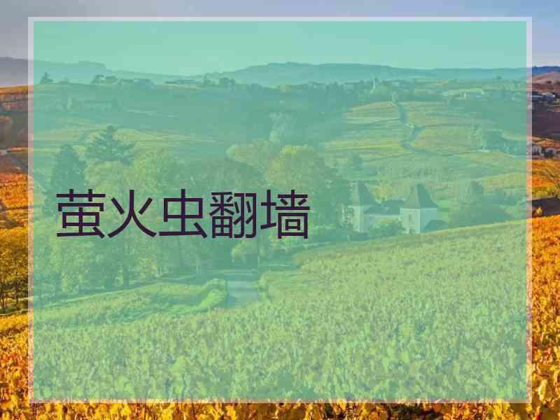 萤火虫翻墙