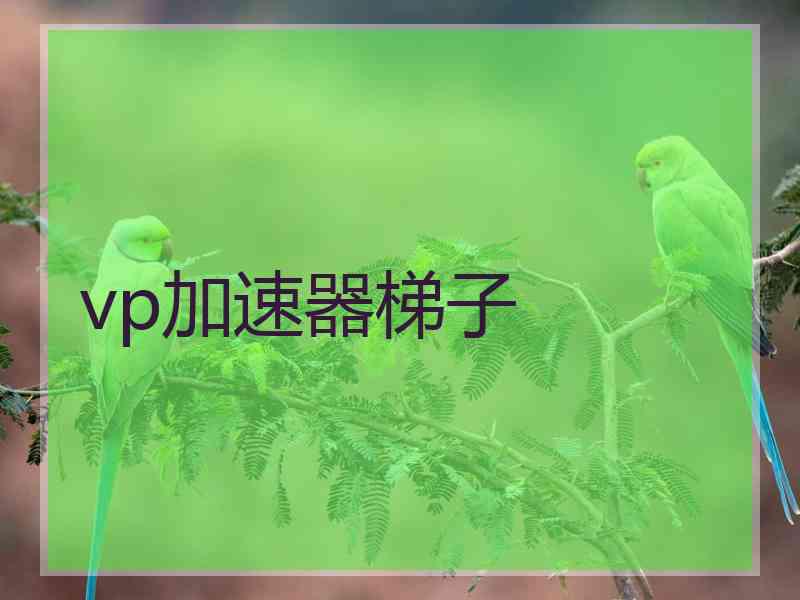 vp加速器梯子