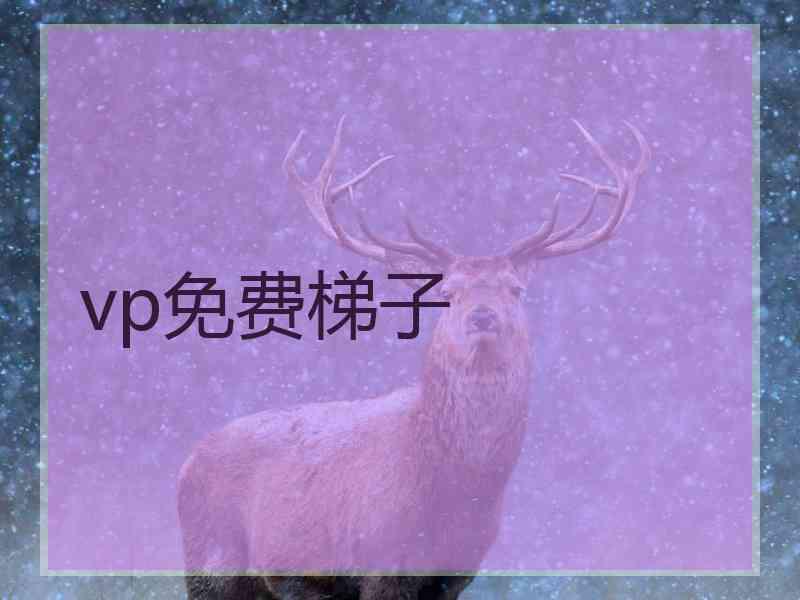 vp免费梯子