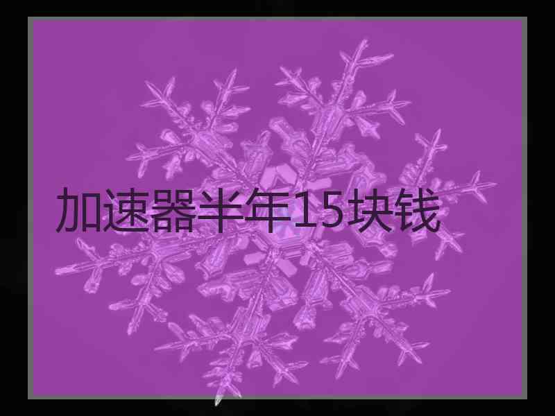 加速器半年15块钱