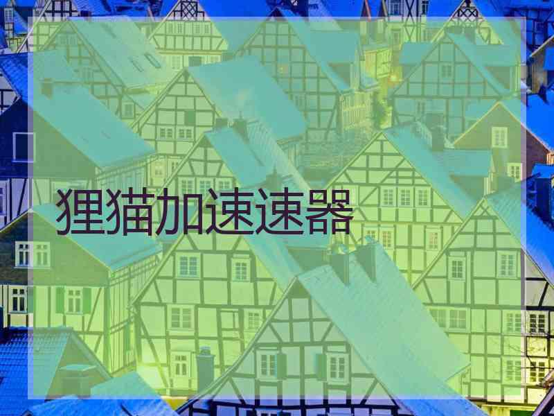 狸猫加速速器