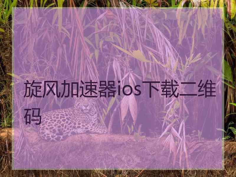 旋风加速器ios下载二维码