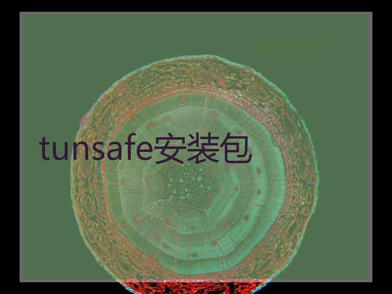 tunsafe安装包