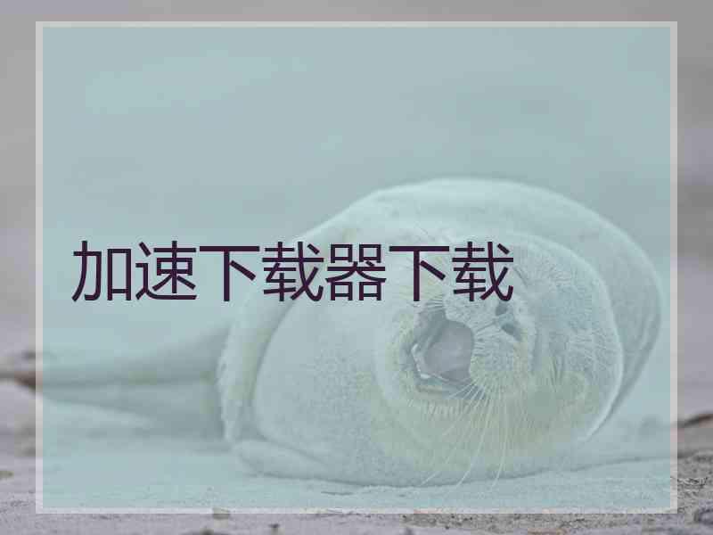加速下载器下载