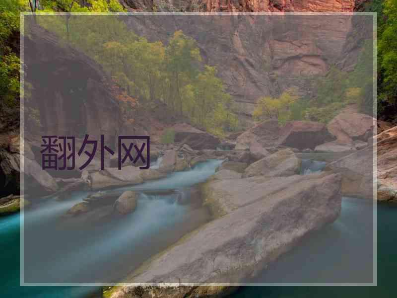 翻外网