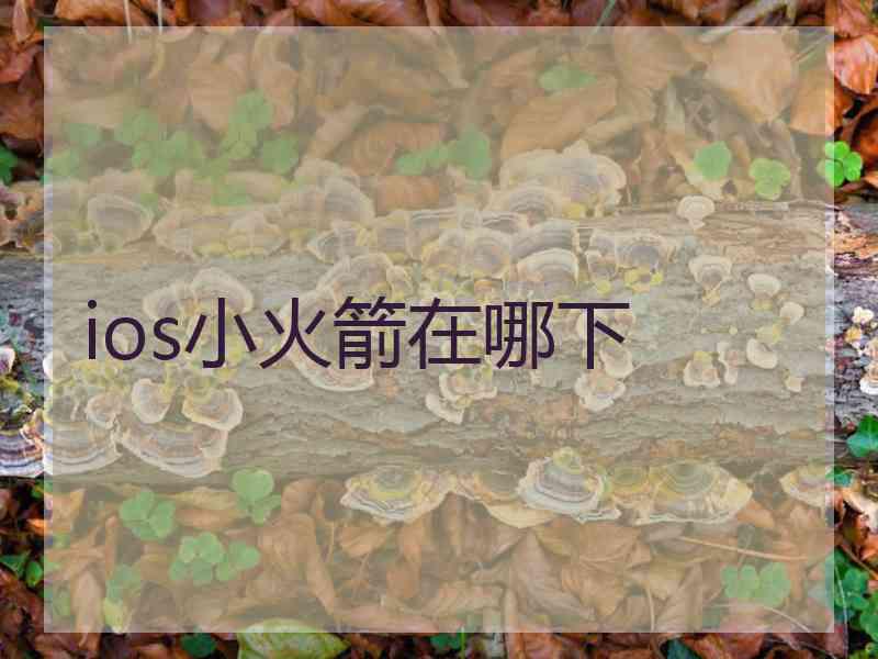 ios小火箭在哪下