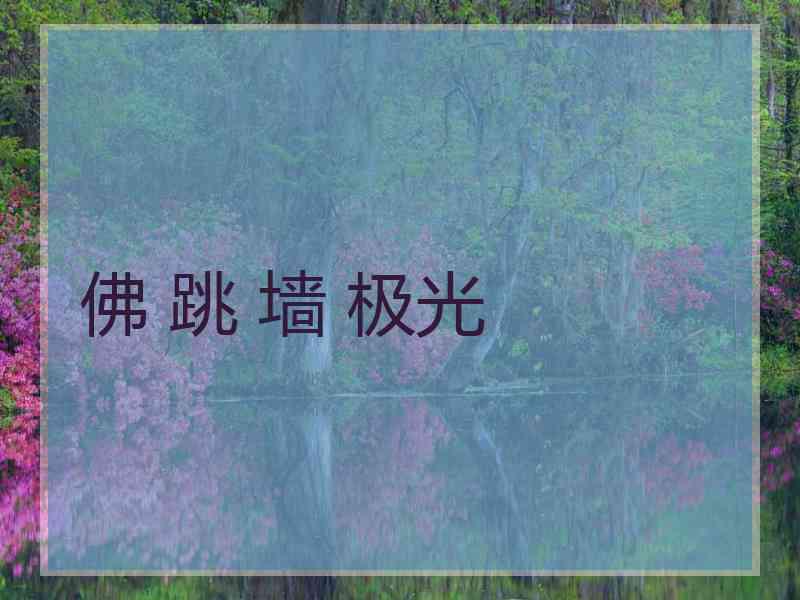 佛 跳 墙 极光