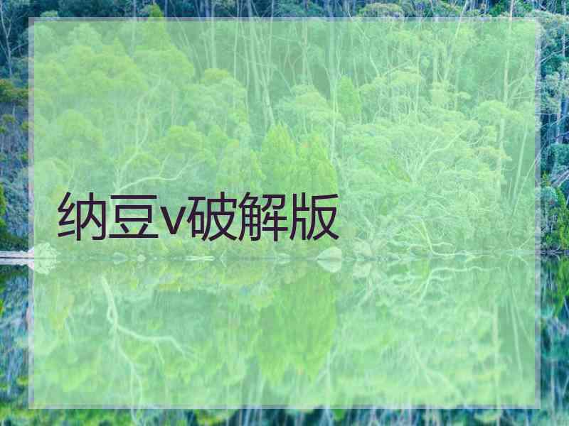 纳豆v破解版