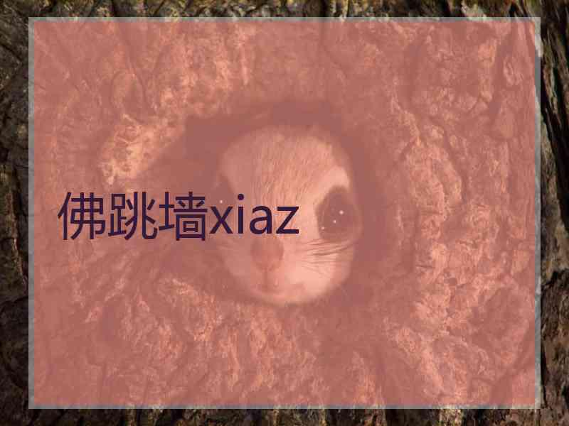 佛跳墙xiaz
