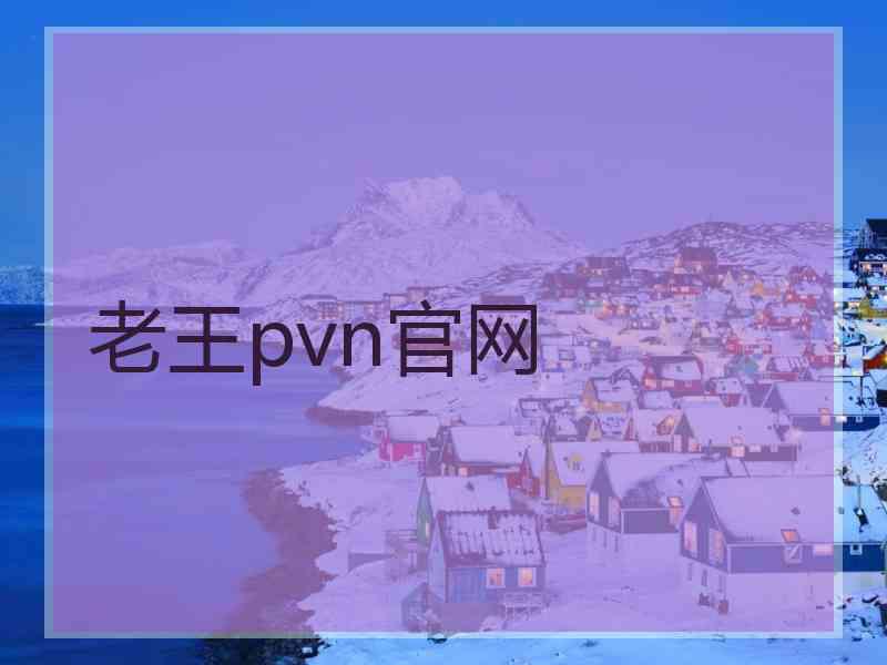 老王pvn官网