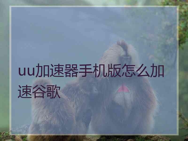 uu加速器手机版怎么加速谷歌
