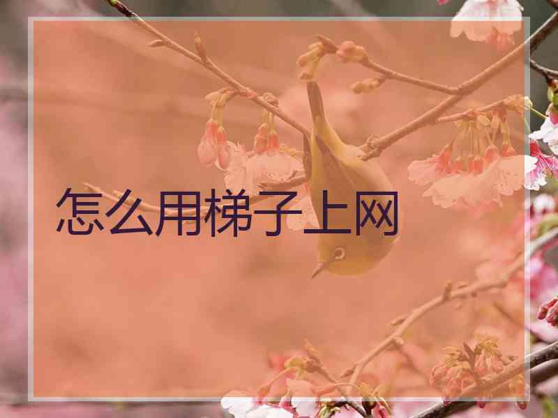 怎么用梯子上网