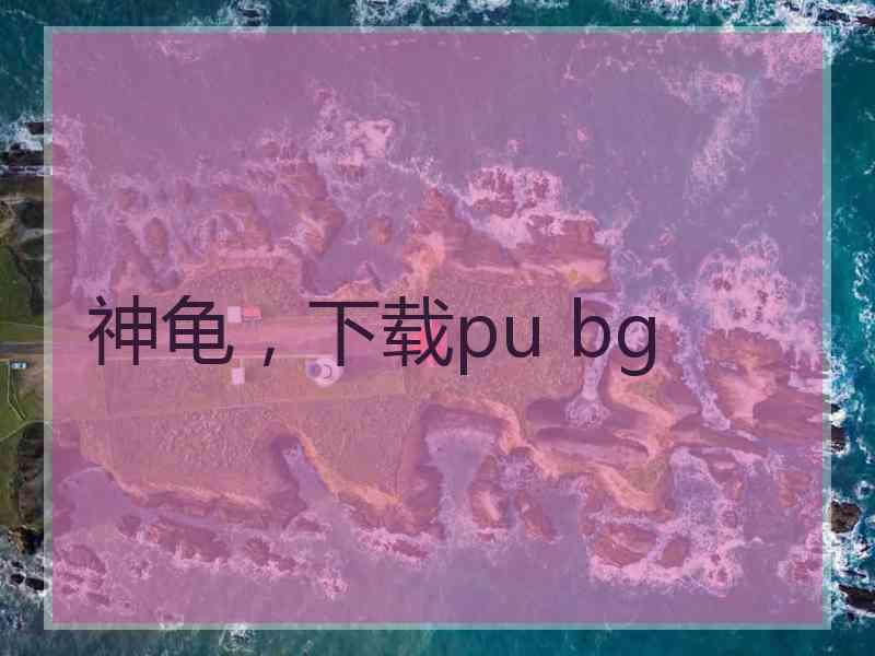 神龟，下载pu bg