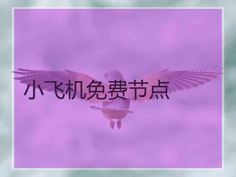 小飞机免费节点