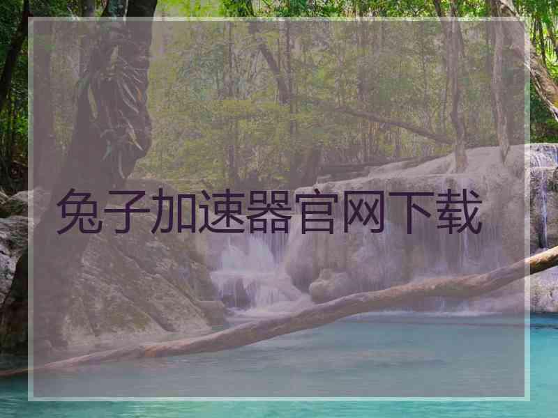 兔子加速器官网下载
