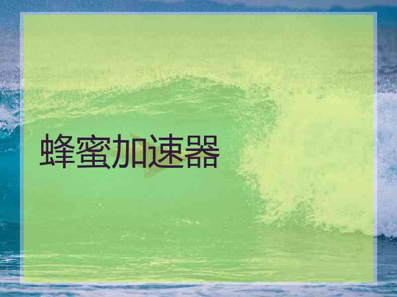 蜂蜜加速器