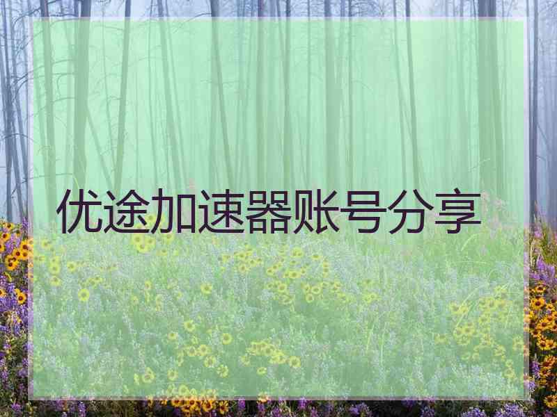 优途加速器账号分享