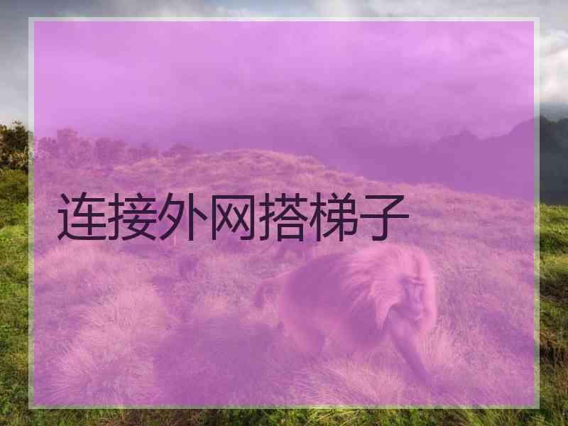 连接外网搭梯子