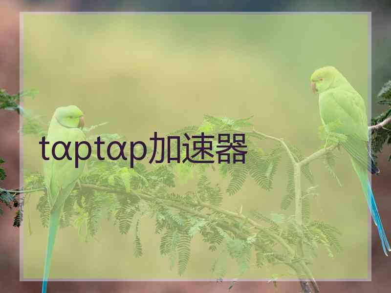 tαptαp加速器