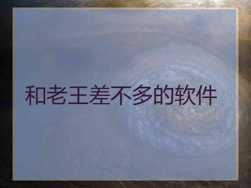 和老王差不多的软件