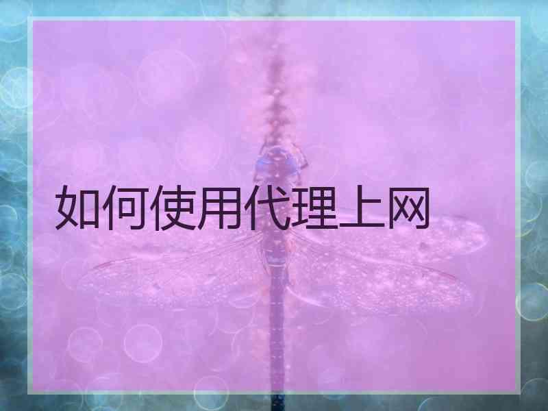 如何使用代理上网