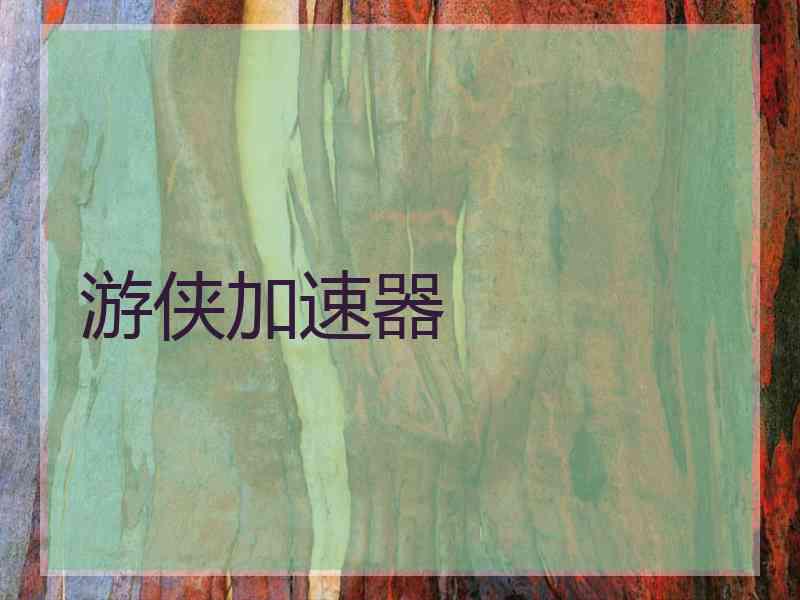 游侠加速器