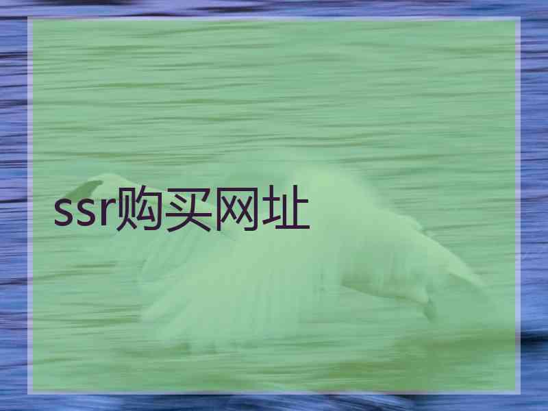 ssr购买网址