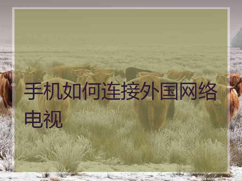 手机如何连接外国网络电视